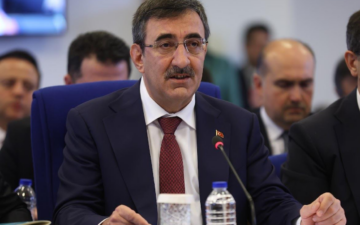 Cumhurbaşkanı Yardımcısı
