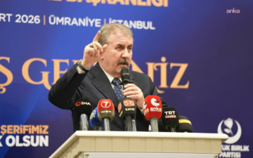 Destici tepki