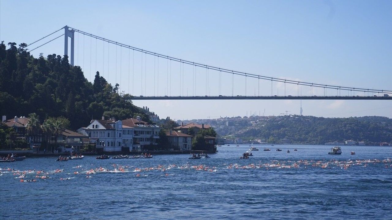 Filistin Destek