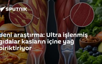 ultra işlenmiş gıda