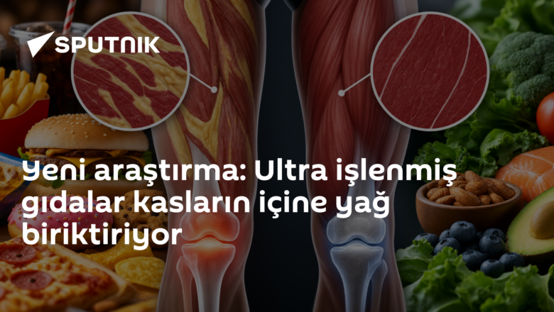 ultra işlenmiş gıda